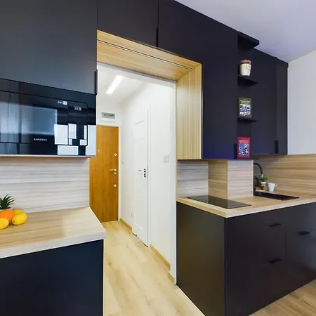 Modern Air-conditioned By Renters * Warsaw